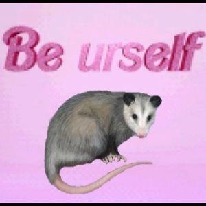 Meet your Posher, Mattie